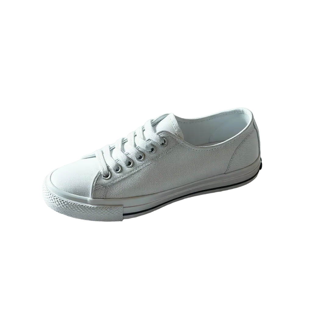 The same sneaker cut out, with nothing around it.